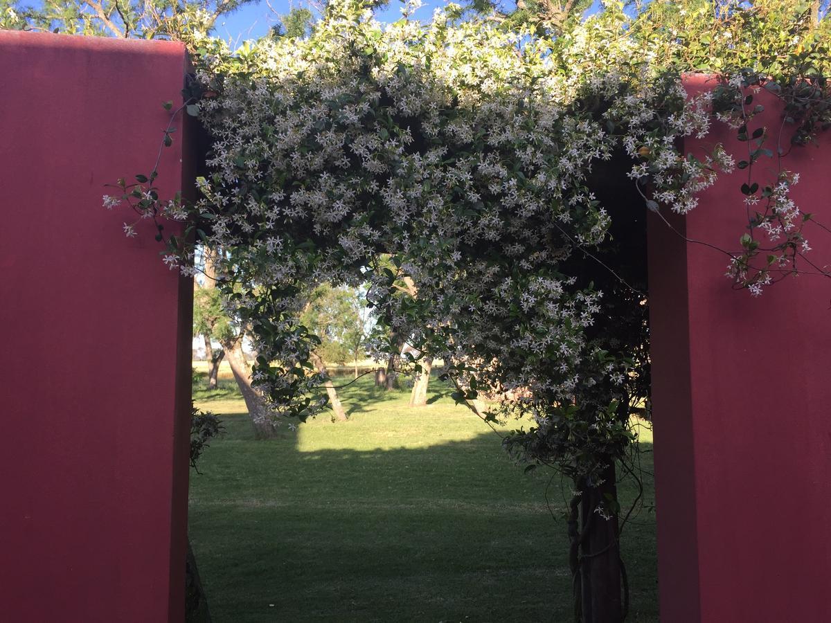 La Negrita Casa De Campo Azcuénaga 외부 사진